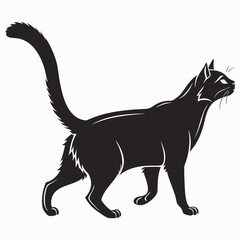 black cat vector illustration