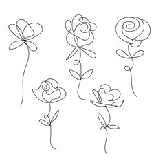Hand drawn single line art roses floral botanical design elements white background