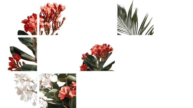 Photo collage animated transition template isolated on transparent background 