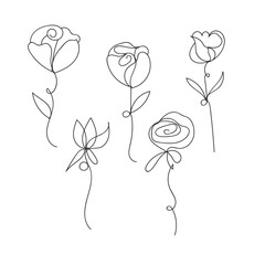 Simple line art roses collection delicate single line flower drawings minimalist floral art white background