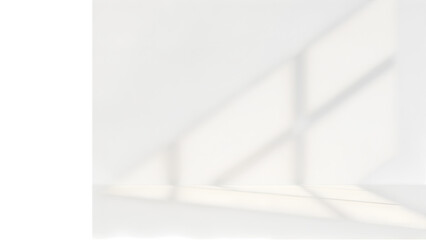 Shadow Play: The subtle interplay of light and shadow dances across a stark white wall, creating an abstract and minimalist composition of geometric forms and nuanced tonality.