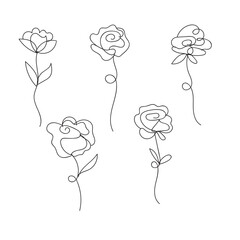 Simple line art roses collection for decorative purposes and design elements white background