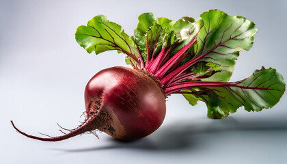 Single Fresh Beet With Vibrant Red Color And Green Leaves