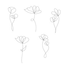 Delicate line art flowers collection botanical sketch drawing white white background