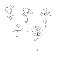 Minimalist rose outline collection five single line drawings for elegant design white background