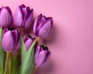 Fototapeta premium Close-up of a bouquet of purple tulips