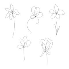 Delicate hand-drawn floral elements collection botanical line art artistry white background