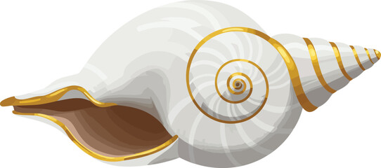 Elegant and luxurious white conch shell with golden accents, a stunning and minimalist artistic design for premium branding, spiritual themes, or high-end product decoration.