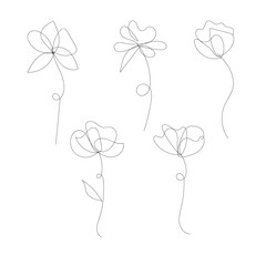 Delicate hand-drawn flowers simple line art botanical collection artwork white background