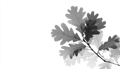 Grayscale oak leaves on branch