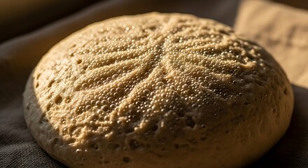 Close up of a ripe cantaloupe melon with distinct netting pattern and textured rind illuminated by warm sunlight