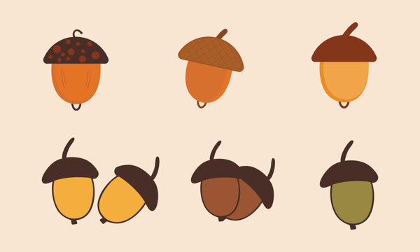Autumn colorful set of acorns vector illustration