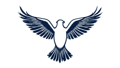 Dark Celestial Bird Silhouette with Sparkling Wings Against a Black Background