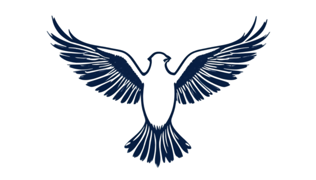 Dark Celestial Bird Silhouette with Sparkling Wings Against a Black Background