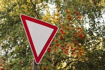 A Yield or Give Way road sign, which is an inverted triangle with a red border and white background, set against an autumn landscape featuring rowan berries.