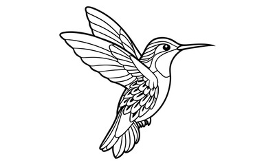 Obraz premium Hummingbird Kids t shirt design silhouette and vector line art, Detailed Line Art, Perfect for Relaxation and Stress Relief, Great for Adult Coloring Books or Printable Art Therapy.