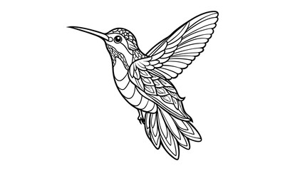 Fototapeta premium Hummingbird Kids t shirt design silhouette and vector line art, Detailed Line Art, Perfect for Relaxation and Stress Relief, Great for Adult Coloring Books or Printable Art Therapy.