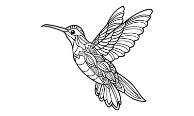 Fototapeta premium Hummingbird Kids t shirt design silhouette and vector line art, Detailed Line Art, Perfect for Relaxation and Stress Relief, Great for Adult Coloring Books or Printable Art Therapy.