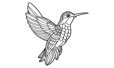 Fototapeta premium Hummingbird Kids t shirt design silhouette and vector line art, Detailed Line Art, Perfect for Relaxation and Stress Relief, Great for Adult Coloring Books or Printable Art Therapy.