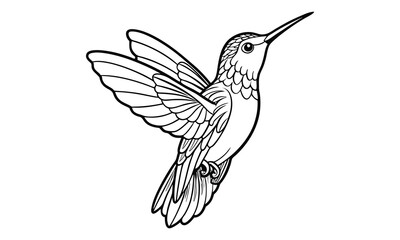 Fototapeta premium Hummingbird Kids t shirt design silhouette and vector line art, Detailed Line Art, Perfect for Relaxation and Stress Relief, Great for Adult Coloring Books or Printable Art Therapy.