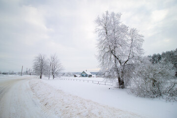 Snow-Covered Rural Road with Frost-Laden Trees and Cottage in Winter Landscape
