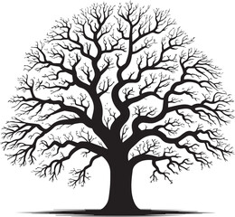 Obraz premium Black silhouette of a detailed leafless tree with intricate branches, perfect for nature themes, artwork, design, and decorative projects.