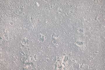 Close-up texture of foam block. Porous texture of stone. Macro photography