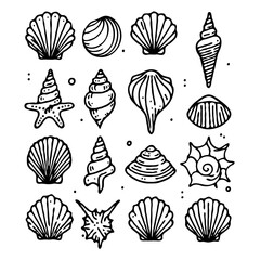 Collection Various Outline Black And White Drawing Seashells. Set Hand Drawn Doodle Snails and Shells, Starfish sketch Illustrations. Line Art Coastal Themes. Sea Elements, Marine Mollusks, Corals