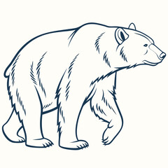 polar bear vector illustration, Vector art Design, line art Vector, Black & White bear vector illustrations