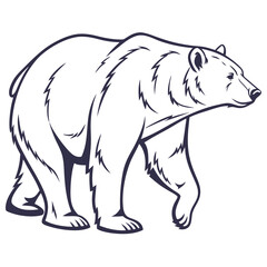 polar bear vector illustration, Vector art Design, line art Vector, Black & White bear vector illustrations