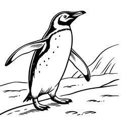 penguin vector illustration, Animal Vector art Design, Black & White Penguin Vector Design illustrations, Vector art Penguin