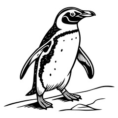 penguin vector illustration, Animal Vector art Design, Black & White Penguin Vector Design illustrations, Vector art Penguin