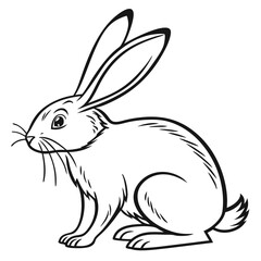 white rabbit vector illustration, turtle vector art design, black & white turtle design, Vector design, turtle art illustrations, rabbit vector art