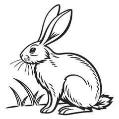 white rabbit vector illustration, turtle vector art design, black & white turtle design, Vector design, turtle art illustrations, rabbit vector art