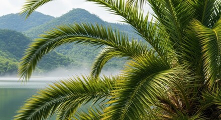 Fototapeta premium Palm Fronds and Mountain Lake Landscape