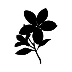 Black and white plumeria flower silhouette vector graphic design element for floral designs and art