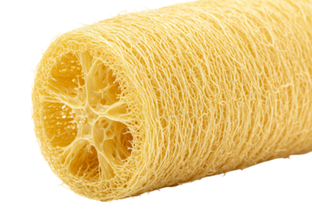 自然素材の輝く黄色のヘチマスポンジ　クローズアップ写真