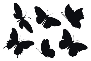 Fototapeta premium Side View Butterfly Silhouettes Perched & Flying with Open and Closed Wings