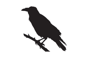 A stark black silhouette of a raven perched on a thin branch against a clean white background symbolizing mystery and nature silhouette