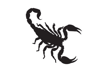 Detailed black silhouette of a scorpion with its tail raised in a threatening pose on a white background