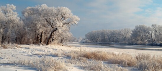 Winter Wonderland: Frosty Riverbanks and Snow Covered Trees