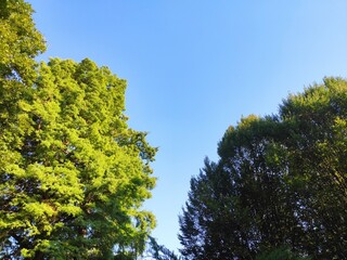 Obraz premium Beautiful nature photos