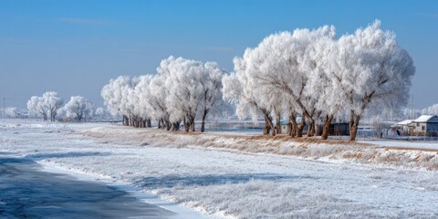 Winter Wonderland: Frost-Covered Trees Line a Frozen River