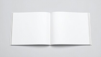 Two volumes in quiet dialogue—one a whisper of form, the other a misty memory etched in monochrome.