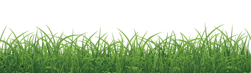 Obraz premium Green Grass Border With White Background