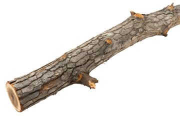 Rough barked branch against black background