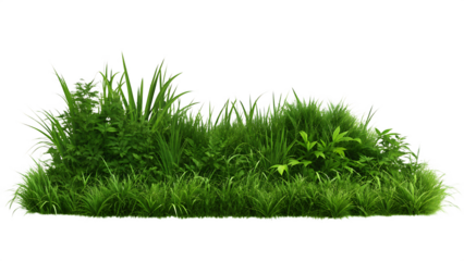 greengrass green plant lawn isolated on white background, png, ai generated