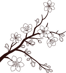 Elegant floral branch with blossoms and buds, detailed botanical line art drawing perfect for tattoo, fabric, wallpaper, decoration, stationery, and natural floral artwork design.