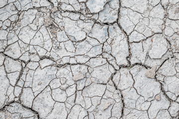 Cracked earth texture. Dry land.Crack texture closeup.White clay with cracks, macro photography.