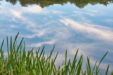 view of the pond during sunset in early autumn